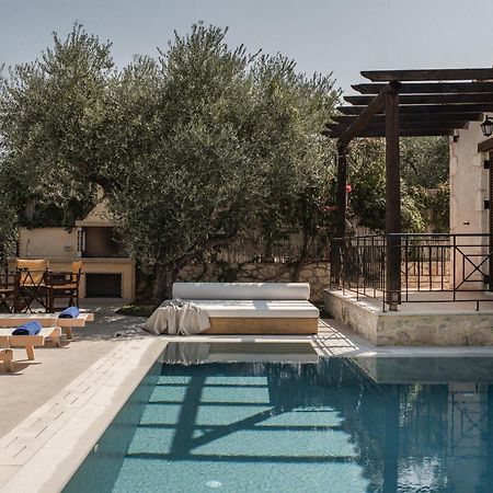 Viatzo Villas - Eclectic Villas With Heated Saltwater Pools Mouzákion 외부 사진