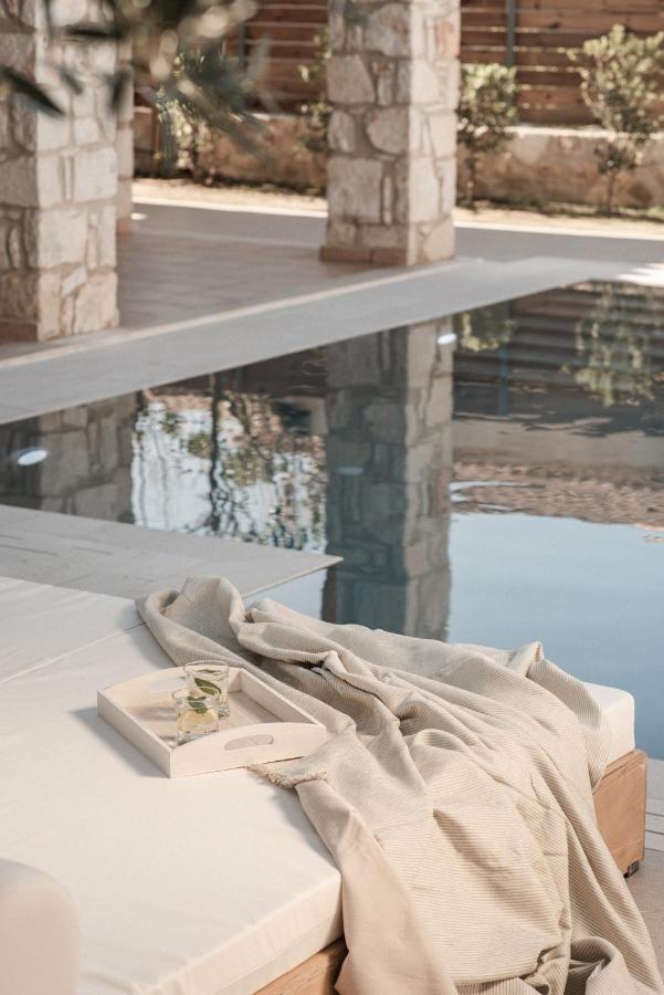 Viatzo Villas - Eclectic Villas With Heated Saltwater Pools Mouzákion 외부 사진
