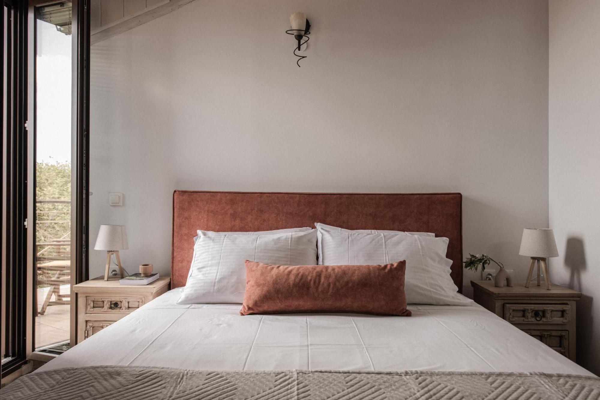Viatzo Villas - Eclectic Villas With Heated Saltwater Pools Mouzákion 외부 사진